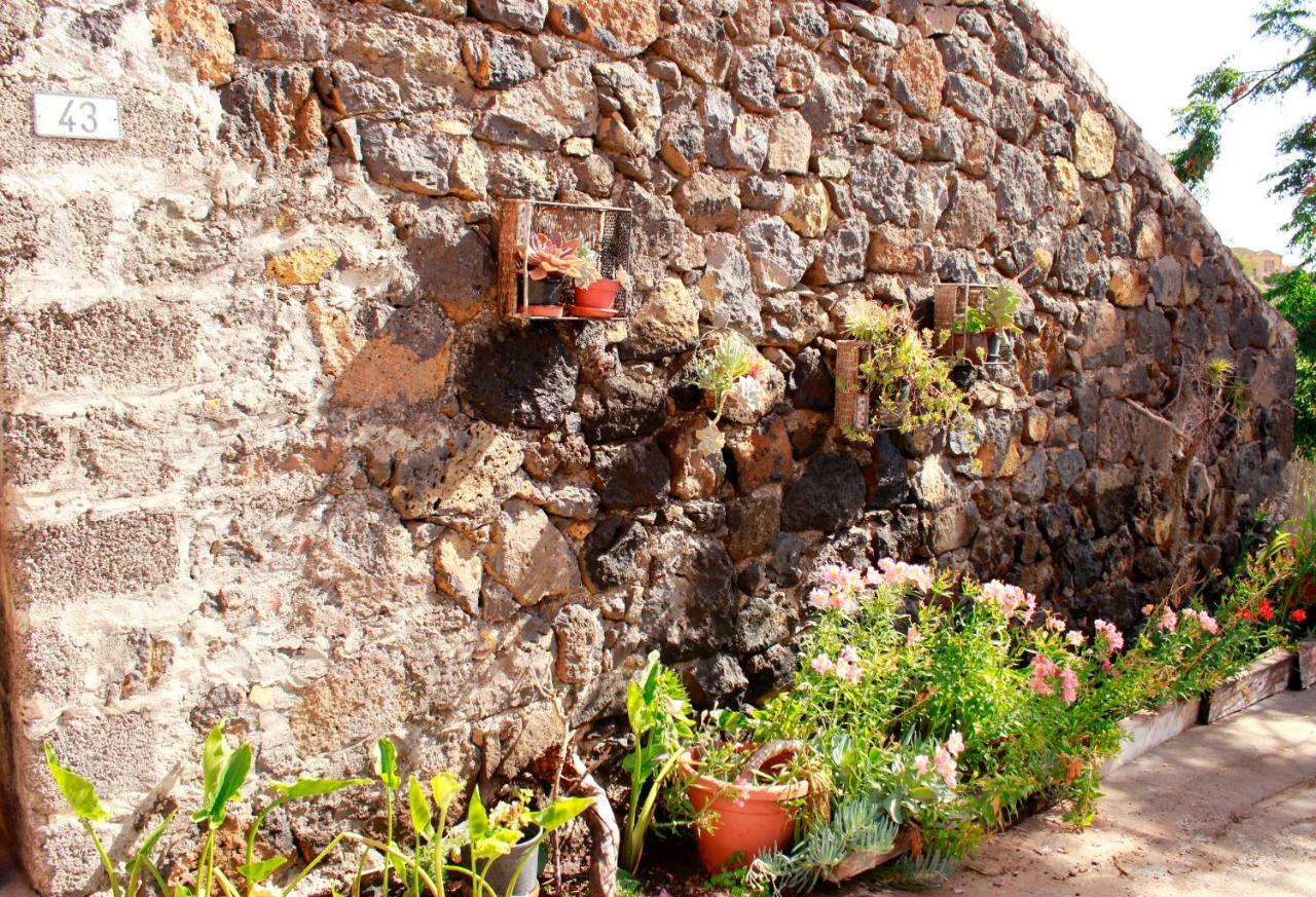 Casa Basilisa Capote Vila El Paso Exterior foto